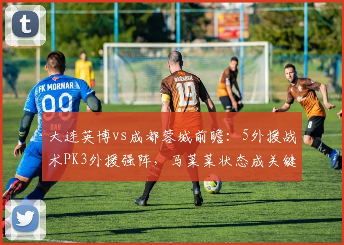 大连英博vs成都蓉城前瞻：5外援战术PK3外援强阵，马莱莱状态成关键看点